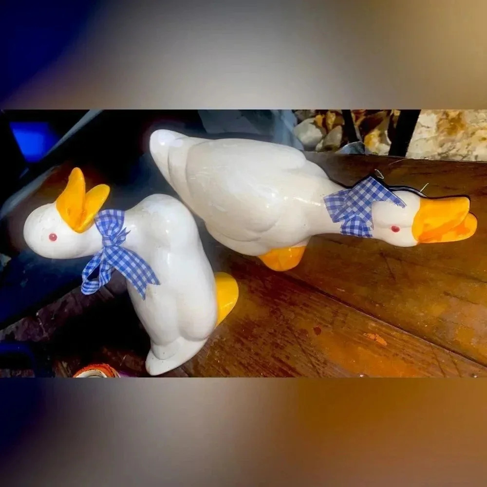 Farmhouse Ducks Ceramic Hand Painted Eleanor -  Vintage 1980s-  2 pieces…